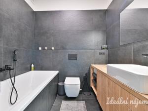 Pronájem bytu 3+kk, Brno, Mlýnská, 68 m2