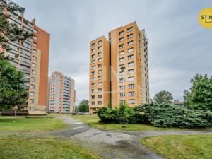 Prodej bytu 1+kk, Ostrava, Francouzská, 29 m2