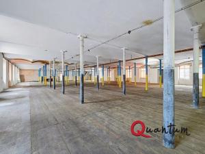 Prodej obchodního prostoru, Janská, 4600 m2