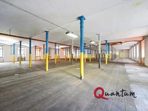 Prodej obchodního prostoru, Janská, 4600 m2