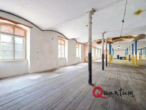Prodej obchodního prostoru, Janská, 4600 m2