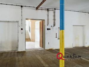 Prodej obchodního prostoru, Janská, 4600 m2