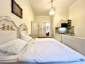 Pronájem bytu 1+kk, Praha - Nové Město, Vodičkova, 31 m2