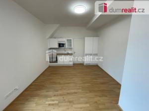 Pronájem bytu 1+kk, Praha - Břevnov, Bělohorská, 30 m2