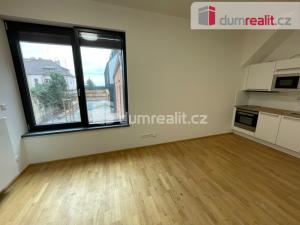 Pronájem bytu 1+kk, Praha - Břevnov, Bělohorská, 30 m2