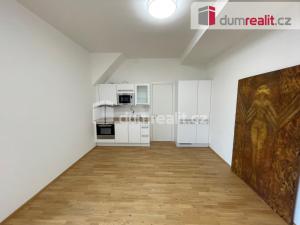 Pronájem bytu 1+kk, Praha - Břevnov, Bělohorská, 30 m2