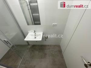 Pronájem bytu 1+kk, Praha - Břevnov, Bělohorská, 30 m2