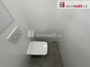 Pronájem bytu 1+kk, Praha - Břevnov, Bělohorská, 30 m2
