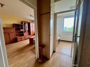 Pronájem bytu 1+1, Hodonín, Lesní, 31 m2