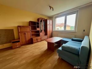 Pronájem bytu 1+1, Hodonín, Lesní, 31 m2
