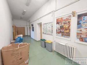 Pronájem skladu, Krnov - Pod Bezručovým vrchem, Albrechtická, 600 m2