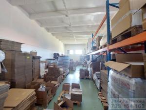 Pronájem skladu, Krnov - Pod Bezručovým vrchem, Albrechtická, 600 m2