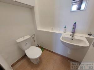 Pronájem skladu, Krnov - Pod Bezručovým vrchem, Albrechtická, 600 m2