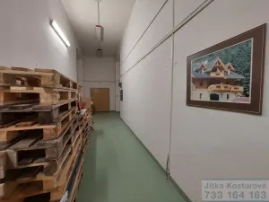 Pronájem skladu, Krnov - Pod Bezručovým vrchem, Albrechtická, 100 m2