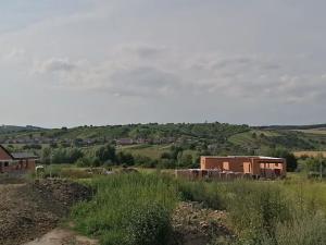 Prodej pozemku pro bydlení, Bořetice, 1163 m2