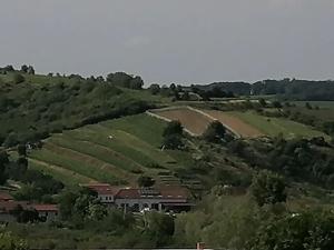 Prodej pozemku pro bydlení, Bořetice, 1163 m2