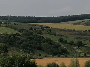 Prodej pozemku pro bydlení, Bořetice, 1163 m2