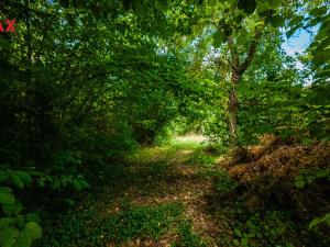 Prodej pozemku pro bydlení, Petrov - Chlomek, Zalomená, 1500 m2