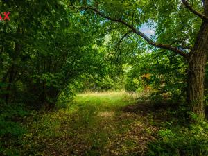 Prodej pozemku pro bydlení, Petrov - Chlomek, Zalomená, 1500 m2