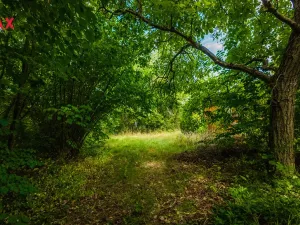 Prodej pozemku pro bydlení, Petrov - Chlomek, Zalomená, 1500 m2