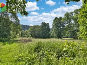 Prodej komerčního pozemku, Jivina, 7287 m2