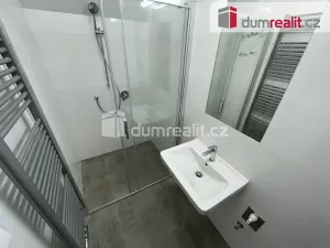 Pronájem bytu 1+kk, Praha - Břevnov, Bělohorská, 30 m2