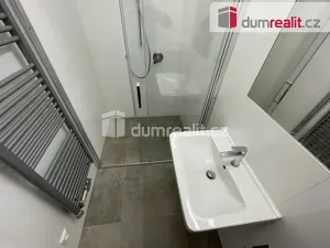 Pronájem bytu 1+kk, Praha - Břevnov, Bělohorská, 30 m2