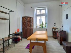 Prodej činžovního domu, Jeseník, Lipovská, 540 m2