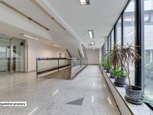 Pronájem obchodního prostoru, Praha - Libeň, Sokolovská, 176 m2