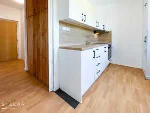 Pronájem bytu 2+1, Karviná - Mizerov, Borovského, 55 m2