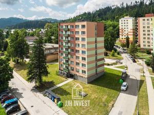 Prodej bytu 3+1, Loučovice, 65 m2