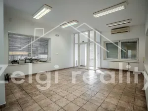 Pronájem komerční nemovitosti, Valtice, 1192 m2