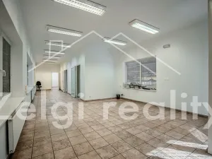 Pronájem skladu, Valtice, Zámek, 1192 m2