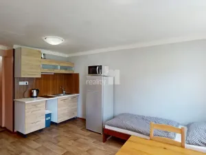 Prodej ubytování, Loučná pod Klínovcem - Loučná, 370 m2