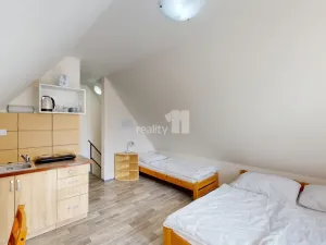 Prodej ubytování, Loučná pod Klínovcem - Loučná, 370 m2