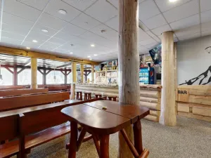 Prodej ubytování, Loučná pod Klínovcem - Loučná, 229 m2