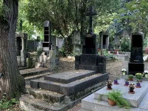 Prodej - jiné, Praha, Vinohradská, 5 m2