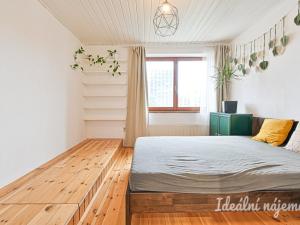 Pronájem bytu 5+kk, Brno, Poděbradova, 120 m2