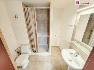 Prodej bytu 2+kk, Lovosice, Dlouhá, 44 m2