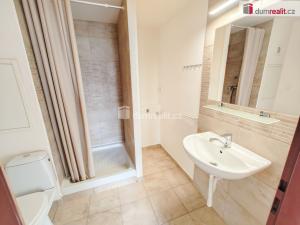 Prodej bytu 2+kk, Lovosice, Dlouhá, 44 m2