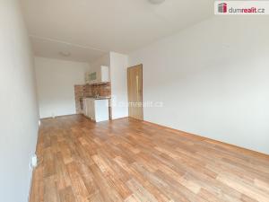 Prodej bytu 2+kk, Lovosice, Dlouhá, 44 m2