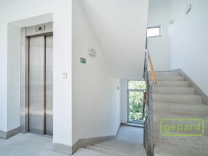Pronájem bytu 2+kk, Praha, Hartigova, 60 m2