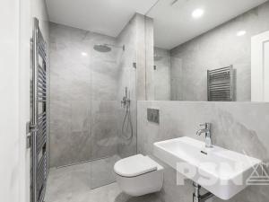 Prodej bytu 2+kk, Praha - Vinohrady, Vinohradská, 65 m2