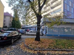 Pronájem obchodního prostoru, Pardubice, Palackého třída, 465 m2