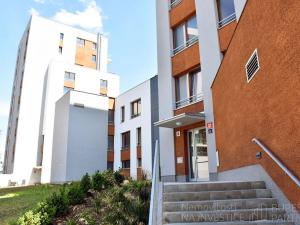 Pronájem bytu 1+kk, Praha - Holešovice, V háji, 43 m2
