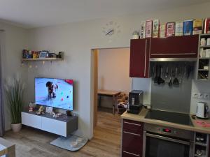 Prodej bytu 3+kk, České Budějovice - České Budějovice 5, Dobrovodská, 54 m2