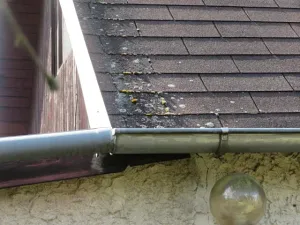 Dražba chaty, Kamenný Přívoz, 49 m2