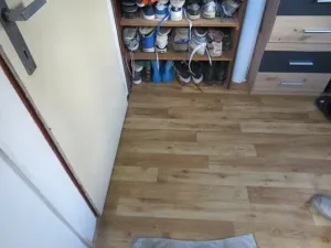 Dražba chaty, Kamenný Přívoz, 49 m2