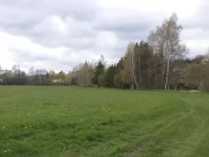 Dražba louky, Tachov, 45730 m2
