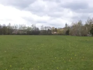 Dražba louky, Tachov, 45730 m2